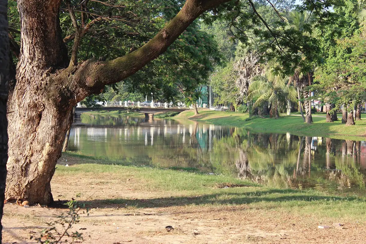 The Siem Reap River lined with trees and a bridge in the distance, seen on Angkor Wat tours from Siem Reap